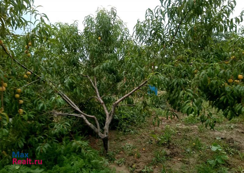 Васюринская Динской район, станица Васюринская, улица Луначарского частные дома