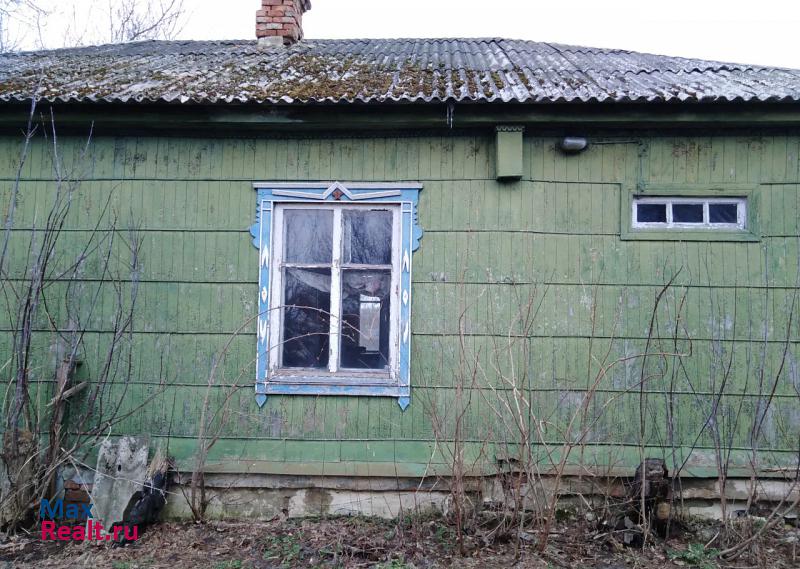 Горшечное село, Воронежская область, Нижнедевицк частные дома