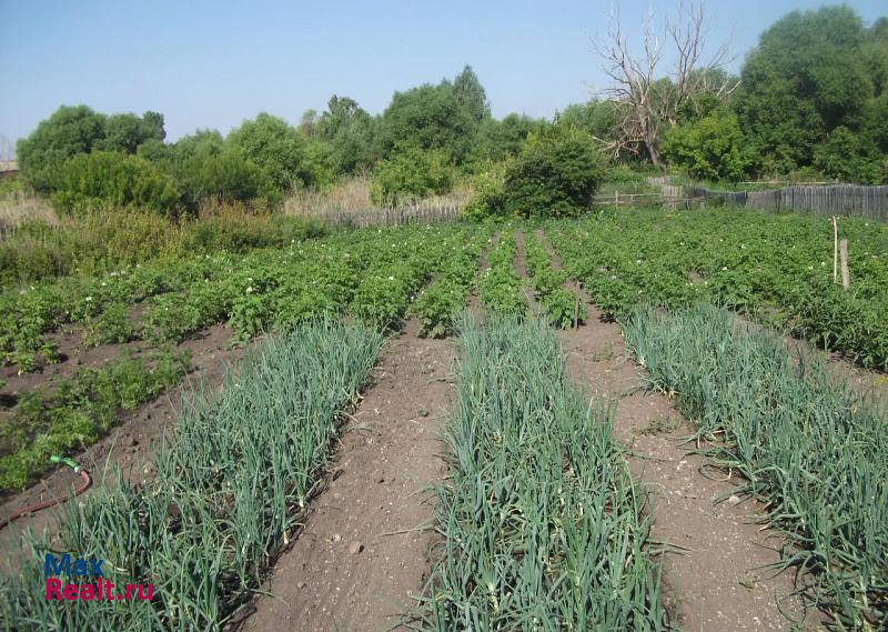 Тереньга село Красноборск частные дома