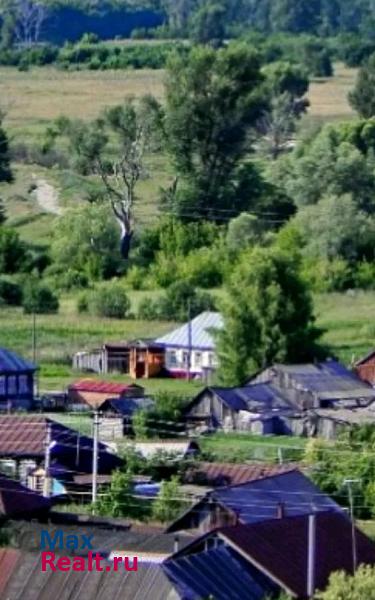 Большие Березники село Николаевка, Центральная улица, 12 частные дома
