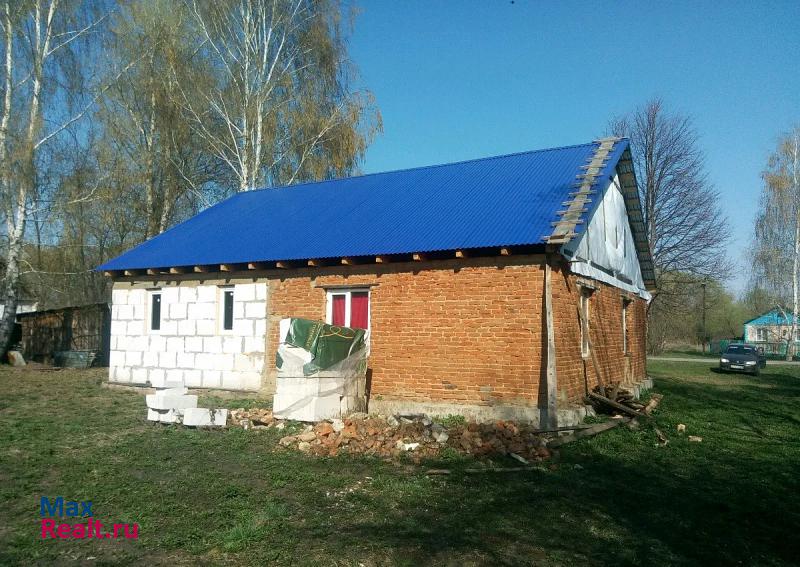 Милославское деревня Казначеевка частные дома