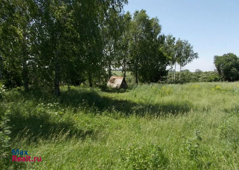 Нарышкино село Алмазово частные дома