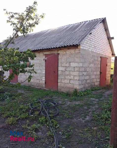 Старый Оскол село Воротниково, Центральная улица частные дома