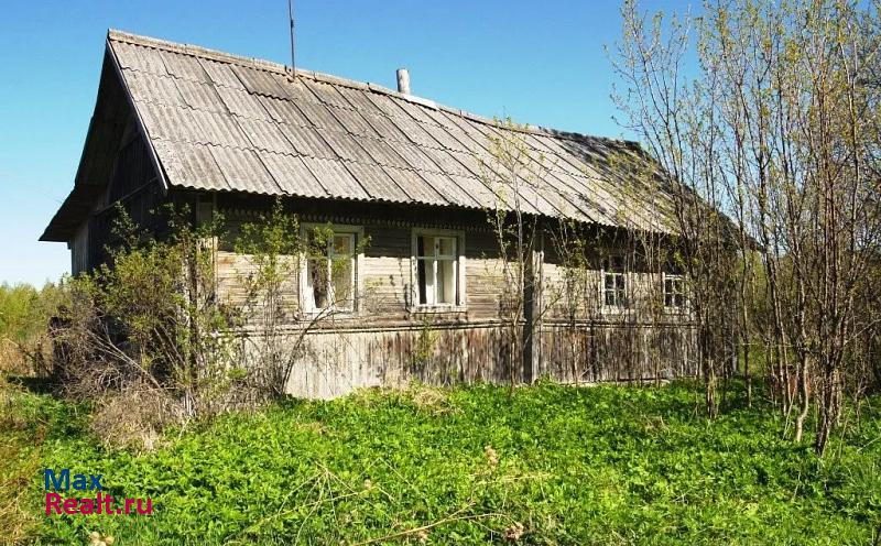 Пушкинские Горы деревня Мошино частные дома