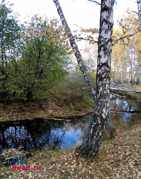 Исетское село Денисово, Полевая улица частные дома