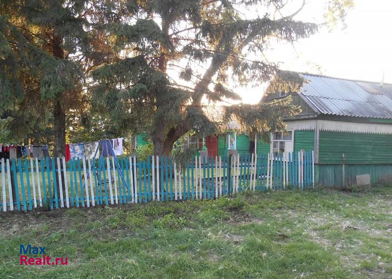 Москаленки село Екатериновка, Лесная улица частные дома