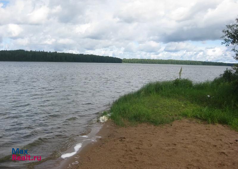 Санкт-Петербург Спб Кенгисеппский р-он дер. Бабино дом