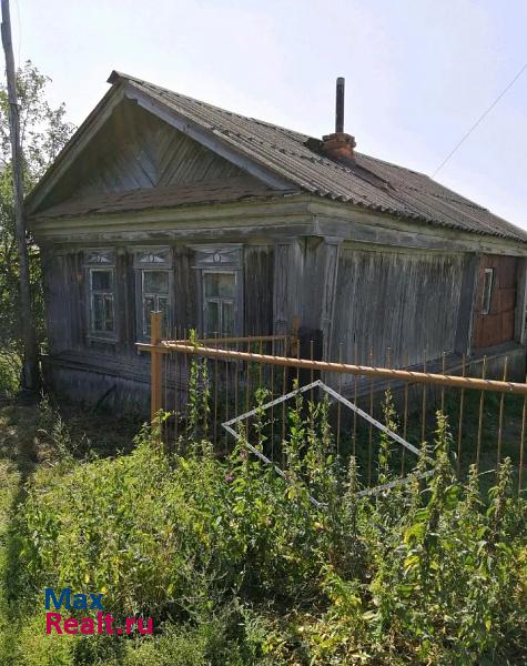 Починки Починковский район, поселок Журавлиха частные дома