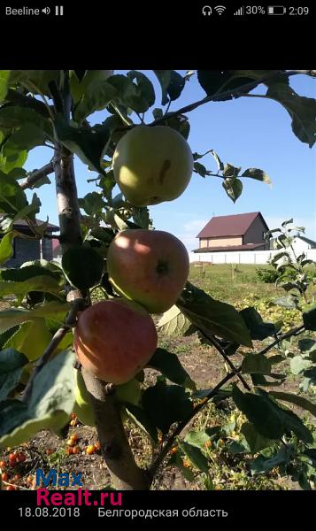 Разумное село Севрюково, Зелёная улица частные дома