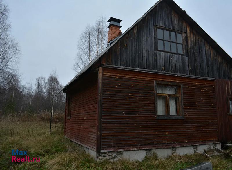 Петрозаводск Прионежский район, деревня Ялгуба дом