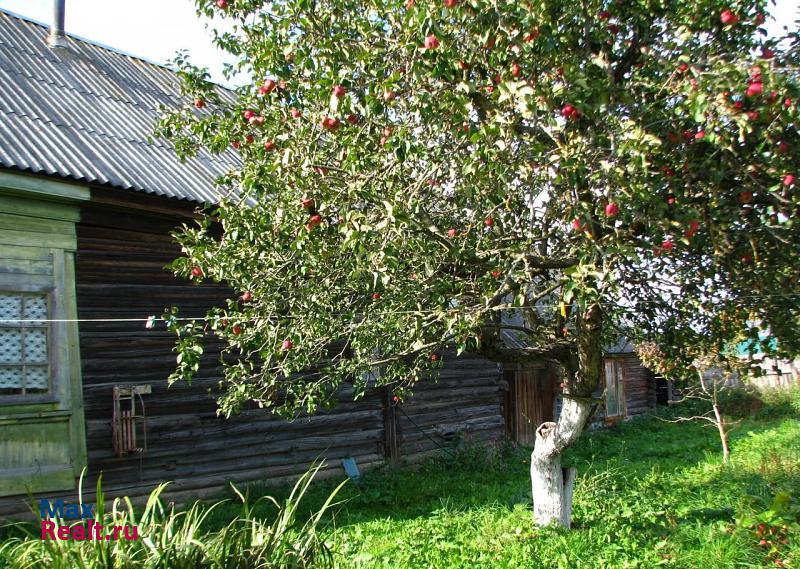 Старица деревня Берново частные дома