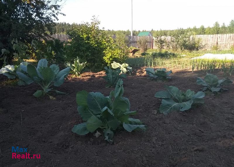 Лобаново Пермский район, деревня Меркушево частные дома