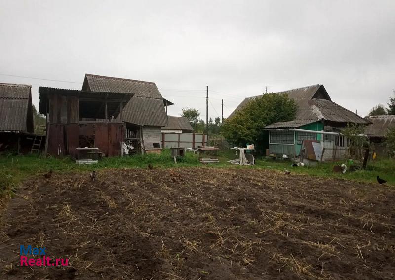 Брянск Нетьинское сельское поселение, деревня Толвинка продажа частного дома