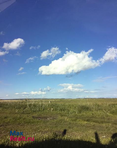 Лаишево село, Лаишевский район, Сингели частные дома