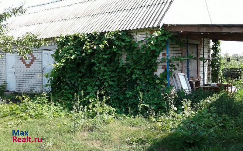 Павловск село Русская Буйловка, улица Свободы частные дома