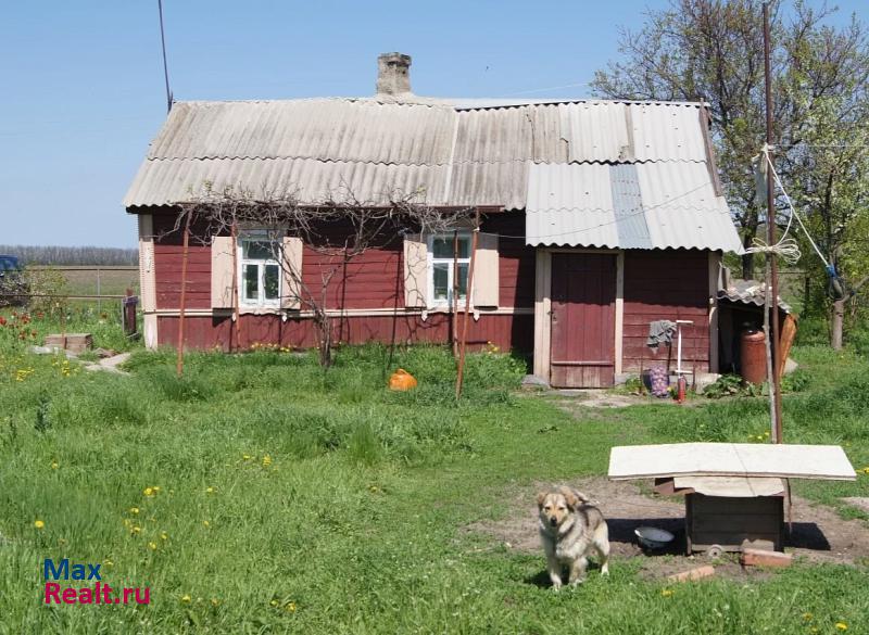 Кущевская хутор Новый Урожай продажа частного дома