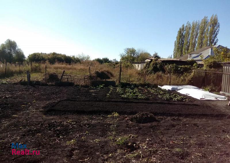 Роговатое Воронежская область, село Синие Липяги, Школьный переулок, 7 дом