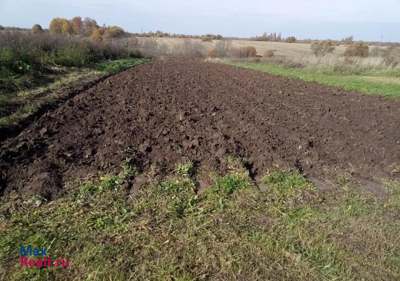 Ржев деревня Лебедево частные дома