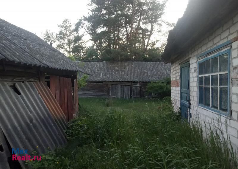 Клинцы Лопатенское сельское поселение, село Лопатни частные дома
