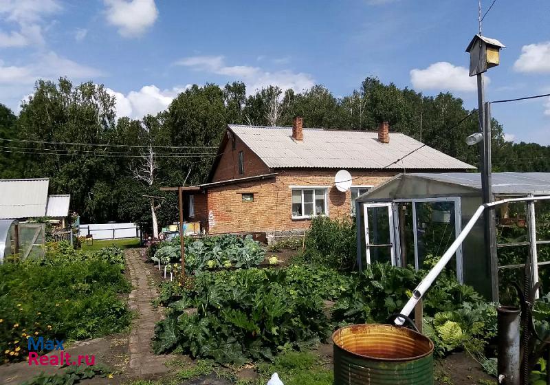 Бердск поселок Рябчинка, Горная улица, 13 дом купить