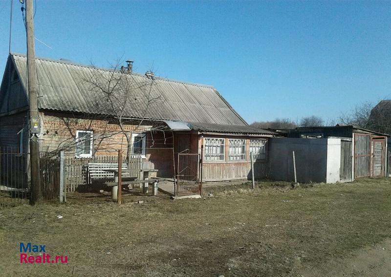 Железногорск Орловская область, поселок Паньшино дом купить