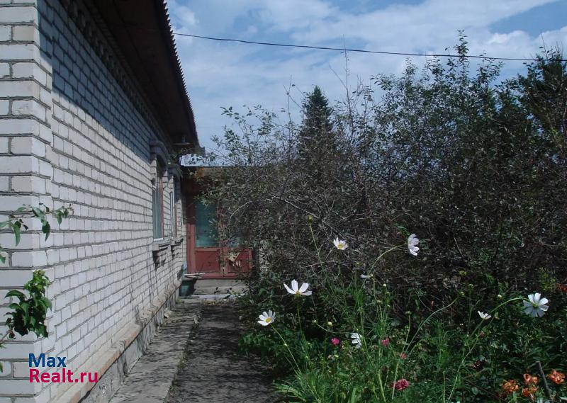 Алтайское Алтайский район частные дома