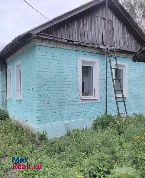 Пронск поселок Синь частные дома