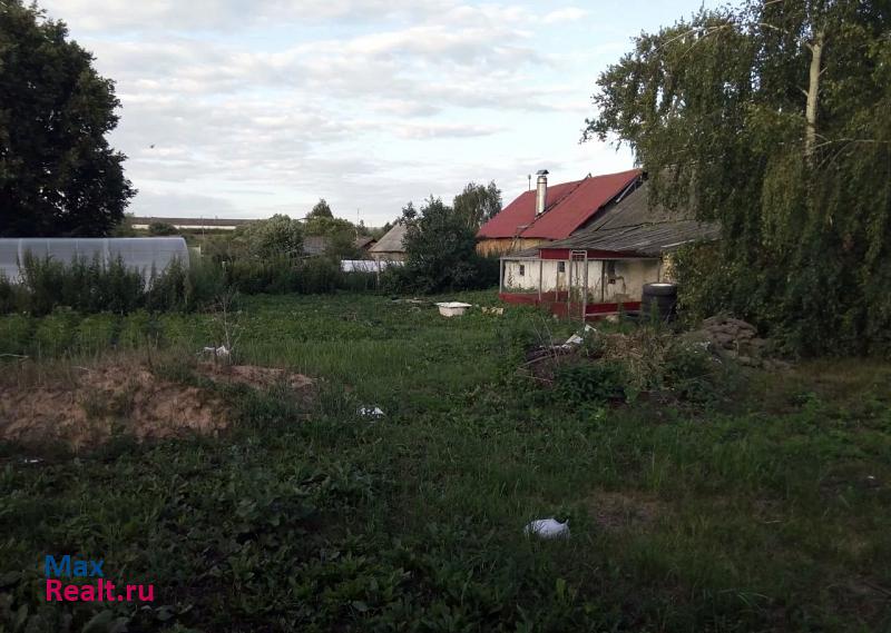 Новомосковск деревня Ольховец дом купить