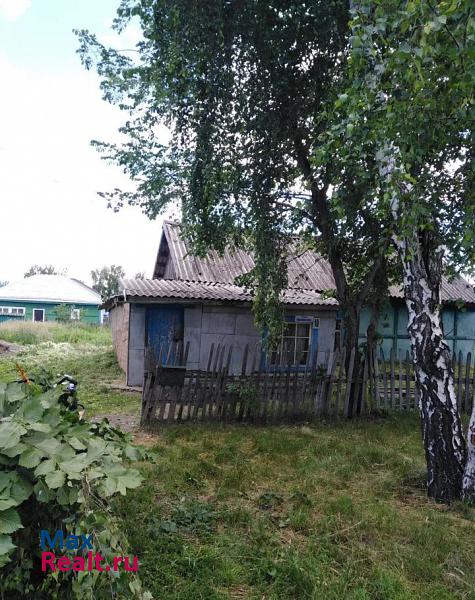 Шипуново село Шипуново, улица Мамонтова, 10 частные дома
