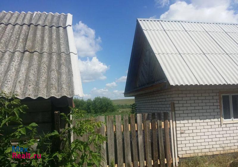 Богатые Сабы Старозюринское сельское поселение, село Старые Зюри частные дома