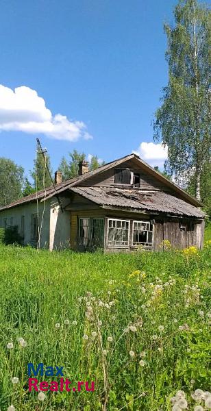 Окуловка село Берёзовик, Центральная улица частные дома