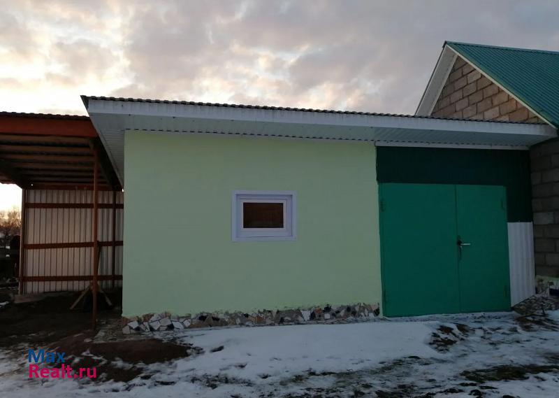 Шаран село Старотавларово частные дома