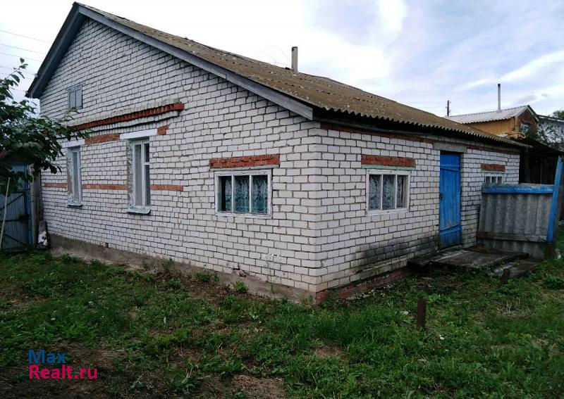 Янтиково Чувашская Республика, деревня Новое Ишино частные дома
