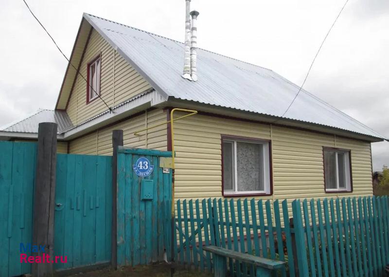 Шадринск село Черемисское продажа частного дома