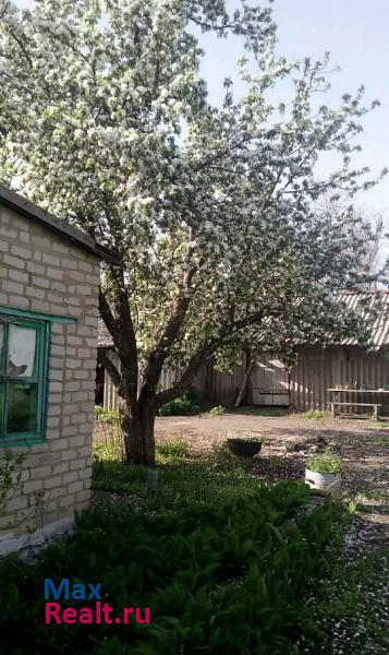 Подгорное село Андреевка продажа частного дома