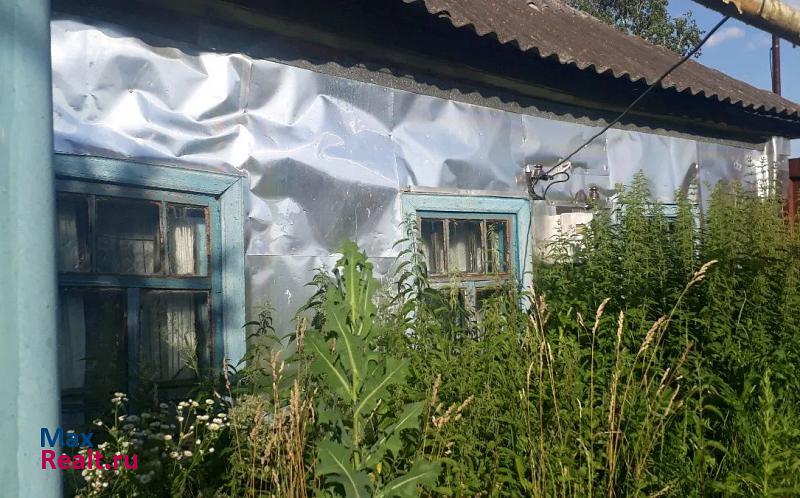 Железногорск деревня Копенки продажа частного дома
