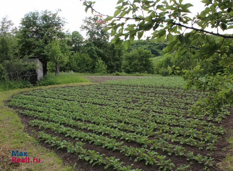 купить частный дом Елец село Пищулино