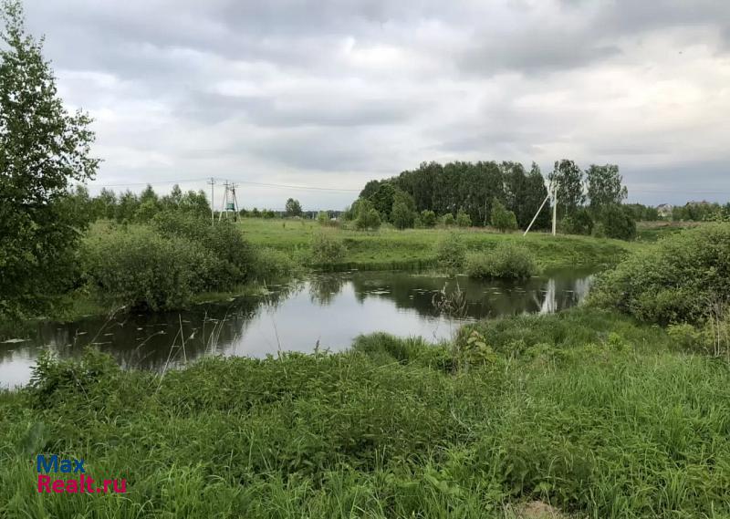 купить частный дом Чехов деревня Большое Петровское