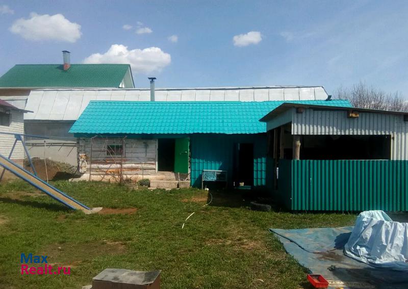 Нижнекамск деревня Новое Минькино продажа частного дома