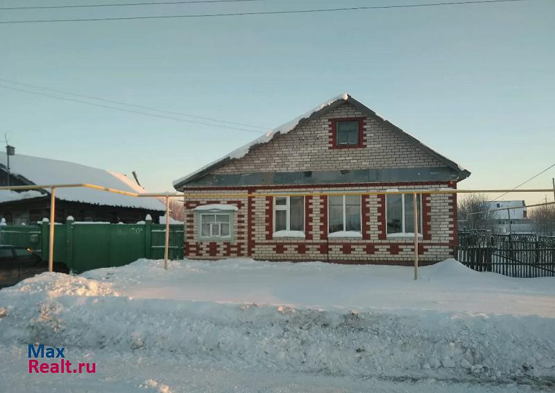 Нижнекамск Нижнекамский район, село Борок продажа частного дома
