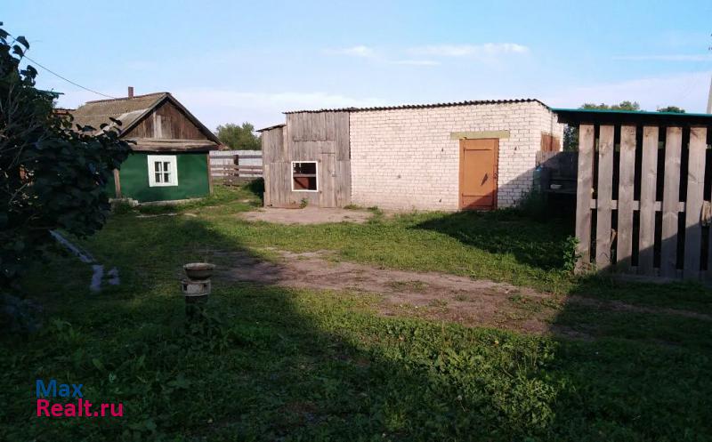 Благовещенск село Сергеевка, Благовещенский район продажа частного дома