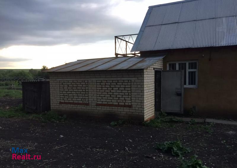 Саранск село Владимировка, Центральная улица, 31 продажа частного дома