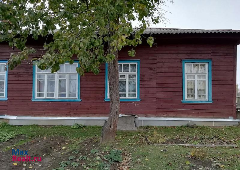 Новописцово посёлок городского типа Новописцово продажа частного дома