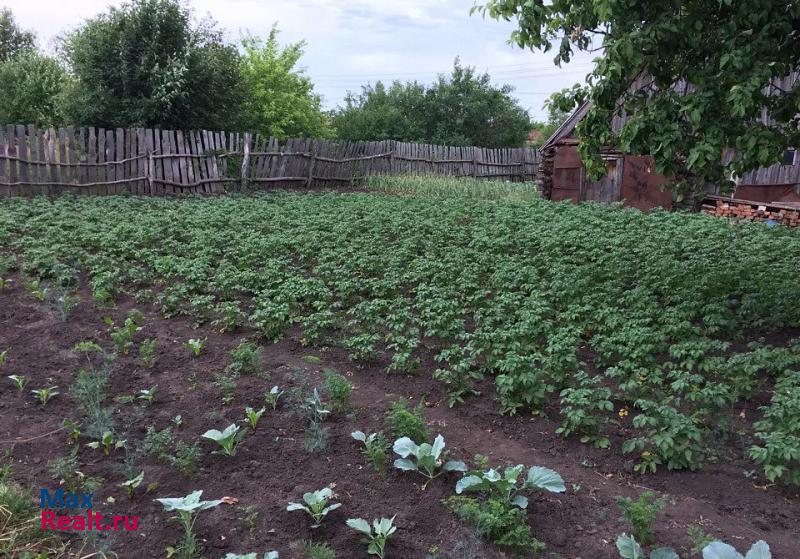 Выездное сельское поселение Слизневский сельсовет, Арзамасский район, село Виняево продажа частного дома