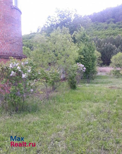 Благовещенск село Егорьевка, Благовещенский район продажа частного дома