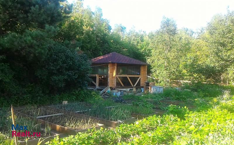 Благовещенск садоводческое некоммерческое товарищество Берёзка продажа частного дома