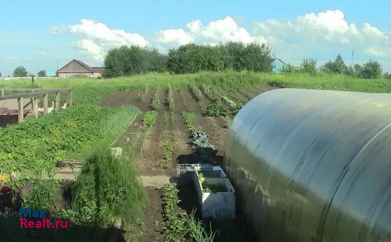 Благовещенск село Ровное, Центральная улица, 61 продажа частного дома