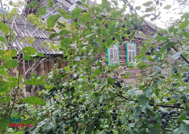 Алнаши Удмуртская Республика, деревня Шайтаново продажа частного дома