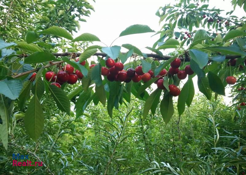 купить частный дом Белгород улица имени Раздобаркина, 33