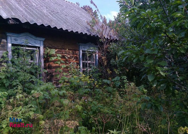 Пустошка деревня Чернецово продажа частного дома